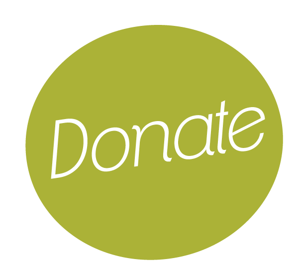 stripe donation button